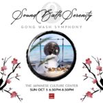 Sound Bath Serenity: Gong Wash Meditation